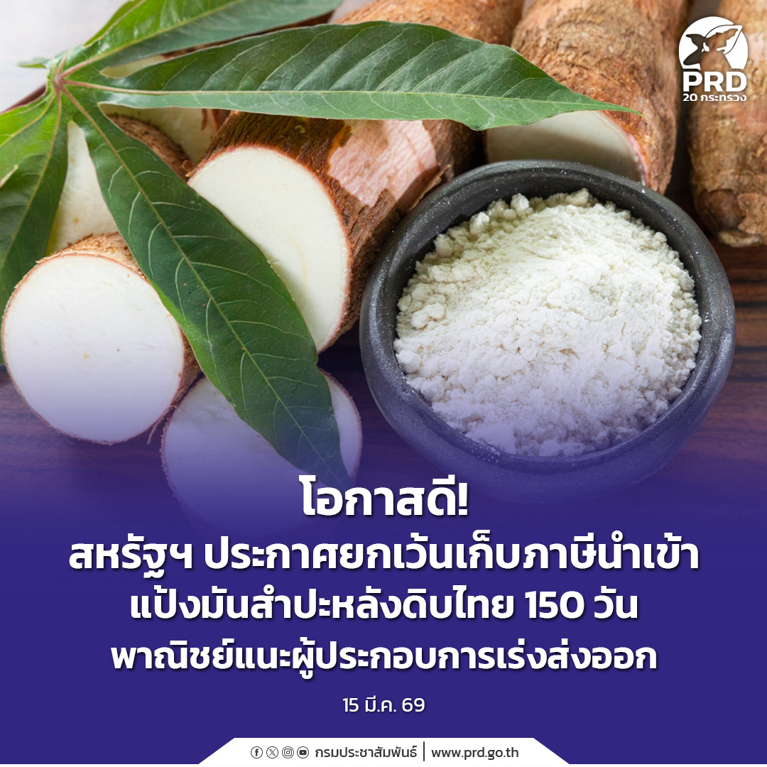 โอกาสดี! สหรัฐฯ ประกาศยกเว้นเก็บภาษีนำเข้าแป้งมันสำปะหลังดิบไทย 150 วัน พาณิชย์แนะผู้ประกอบการเร่งส่งออก