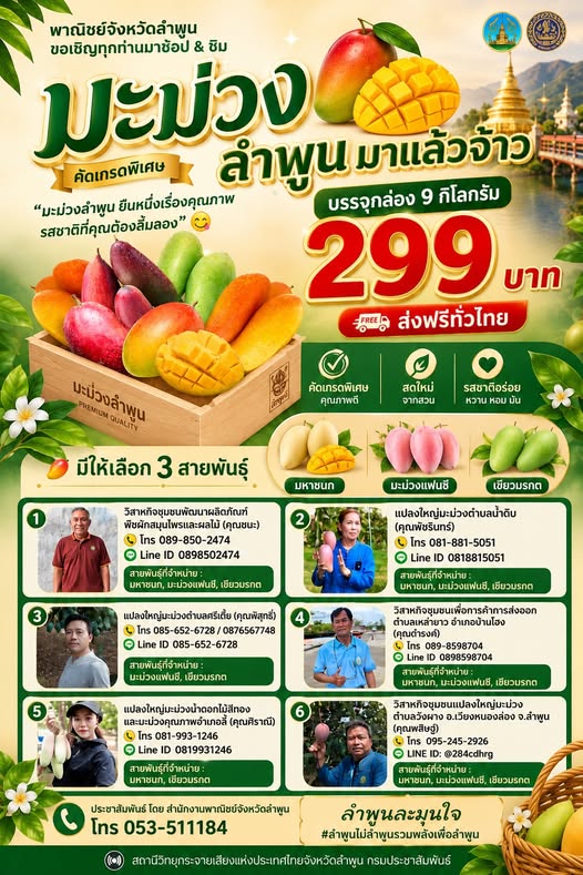 จังหวัดลำพูน โดย สำนักงานพาณิชย์จังหวัดลำพูน ขอเชิญทุกท่านมาช้อป & ชิม &ldquo;มะม่วงคุณภาพ&rdquo; สายพันธุ์แฟนซี