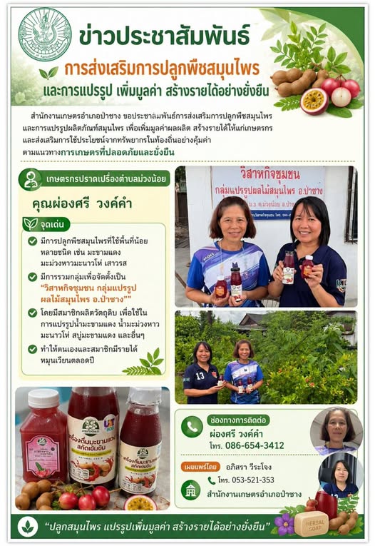 การส่งเสริมการปลูกพืชสมุนไพรและการแปรรูป เพิ่มมูลค่า สร้างรายได้อย่างยั่งยืน
