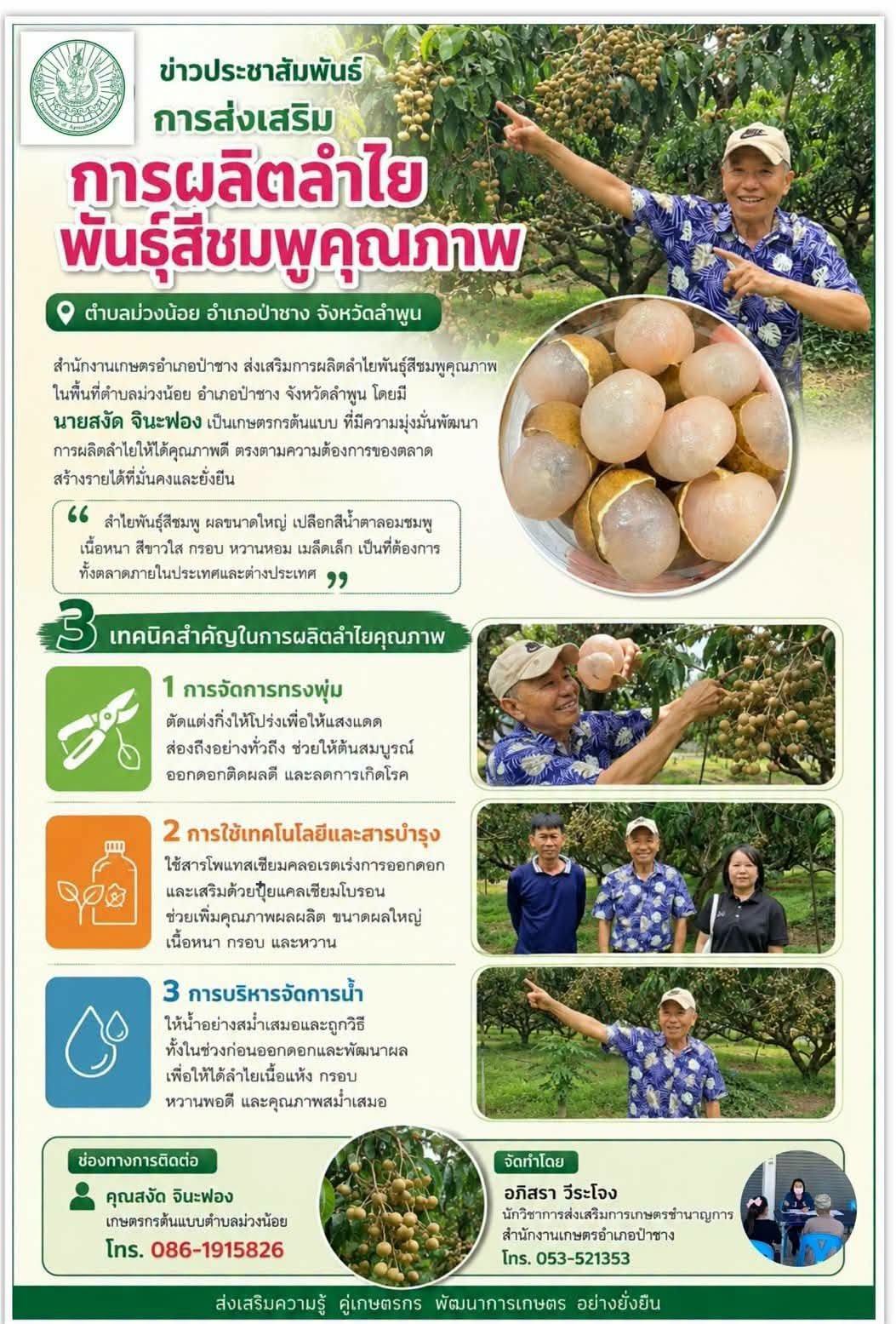 สำนักงานเกษตรอำเภอป่าซาง ส่งเสริมการผลิตลำไยพันธุ์สีชมพูคุณภาพในพื้นที่ตำบลม่วงน้อย อำเภอป่าซาง จังหวัดลำพูน