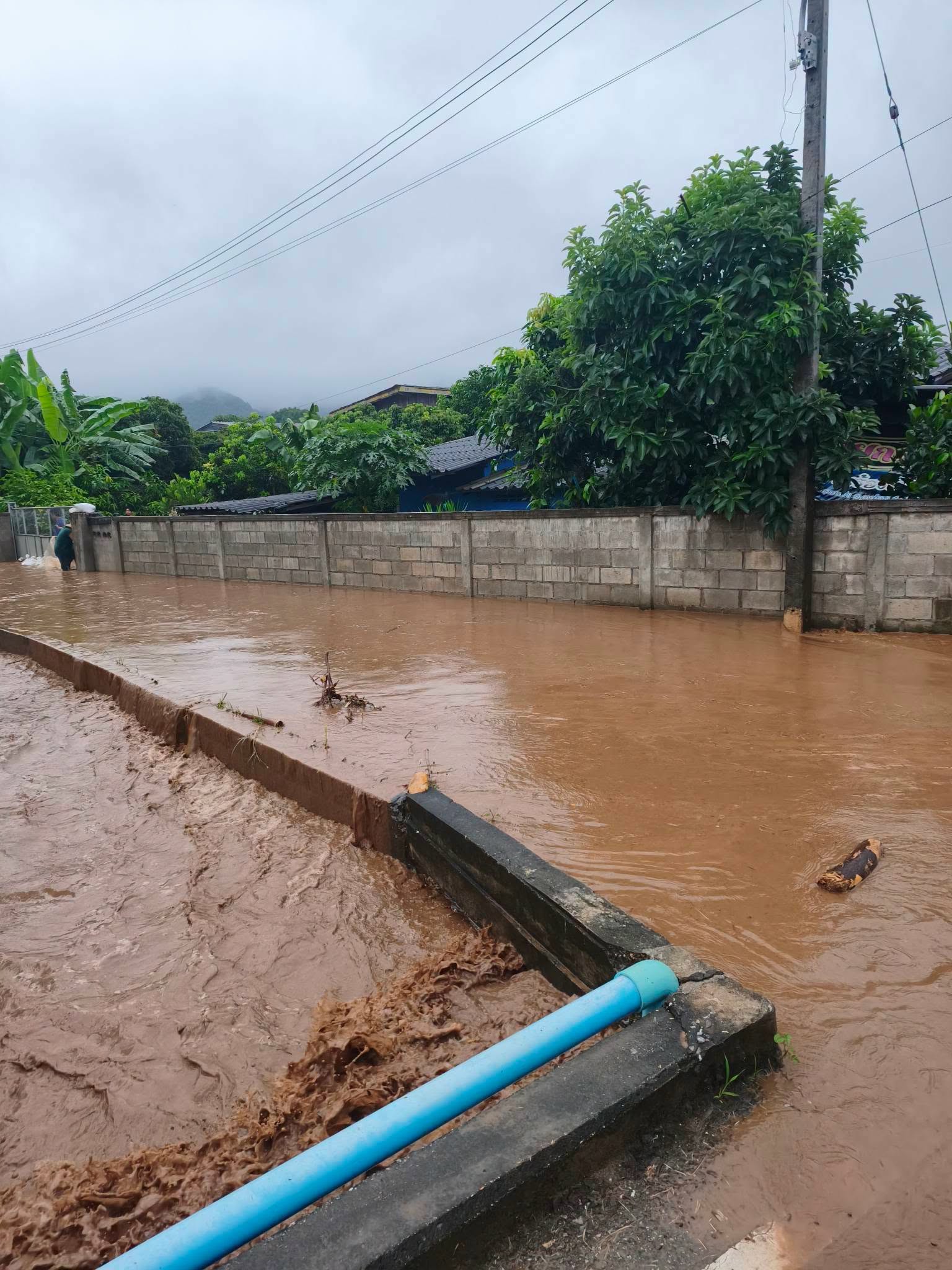 อำเภอแม่ทาเกาะติดสถานการณ์น้ำป่าไหลหลาก บ้านสะป๊วด และ บ้านทาดง ต.ทาสบเส้า อ.แม่ทา  พร้อมกำชับผู้นำชุมชนเฝ้าระวังใกล้ชิด 24 ชั่วโมง 
